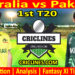 Today Match Prediction-AUS vs PAK-Dream11-1st T20 Match-2024-Who Will Win