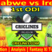 Today Match Prediction-ZIM vs IRE-Dream11-1st ODI Match-2025-Who Will Win