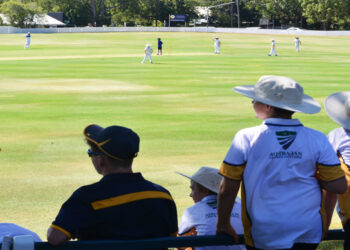 How to Turn Watching Cricket into a Masterclass for Players