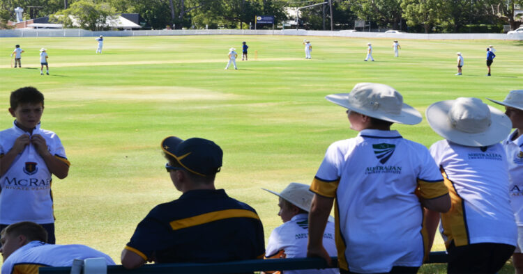 How to Turn Watching Cricket into a Masterclass for Players